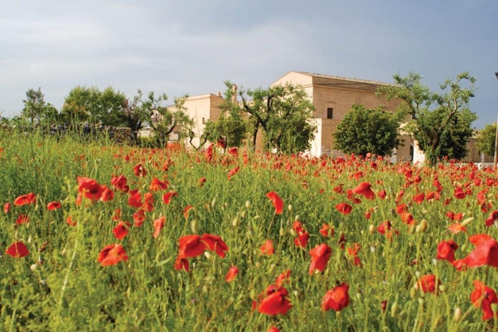 אלטאמורה Relais Albergo I Luoghi Di Pitti מראה חיצוני תמונה